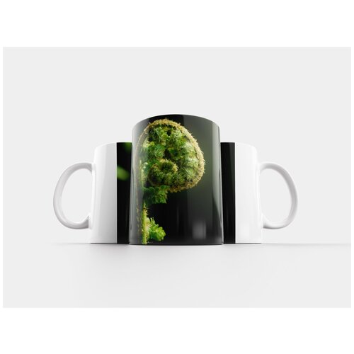 фото Кружка "папоротник, лес, лесное растение" 320 мл lotsprints