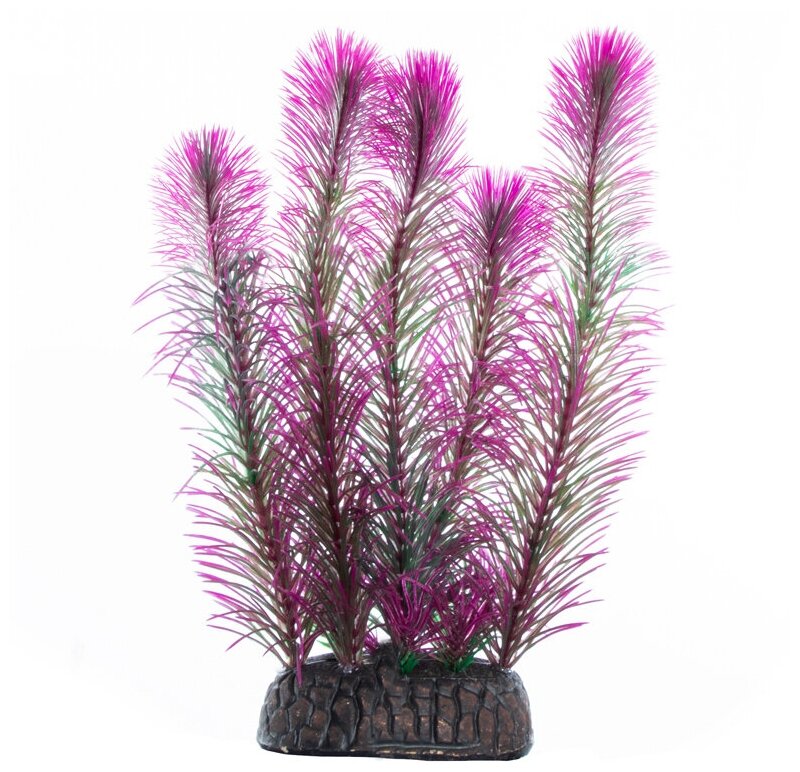 Растение Перистолистник фиолетовый, 200мм