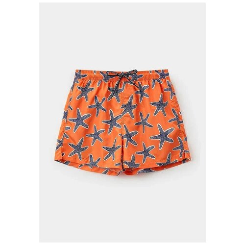 Мужские шорты INDEFINI 2033YMSXXL 1579₽