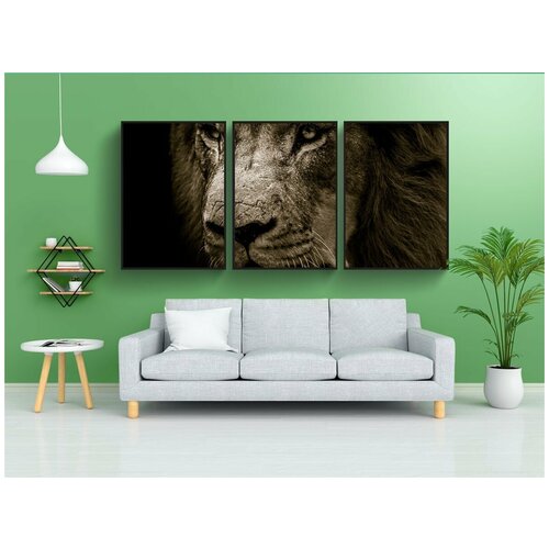 фото Набор модулных постеров для интерьера "лев, грива, глаза" 60x90 см. в тубусе, без рамки lotsprints