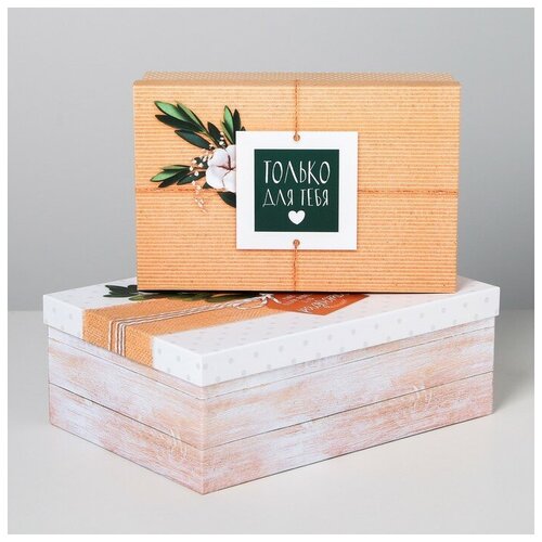 фото Набор коробок прямоугольных 2 в 1 «повод для радости», 27 × 17.5 × 9 - 32 × 24 × 11 см mikimarket