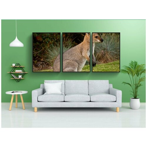 фото Набор модулных постеров для интерьера "валлаби, сумчатое животное, животное" 60x90 см. в тубусе, без рамки lotsprints
