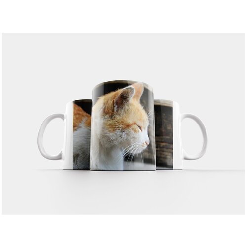 фото Кружка "кошка, кот, животное" 320 мл lotsprints