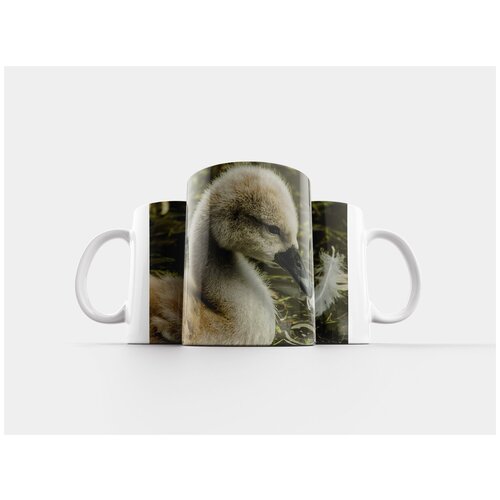 фото Кружка "лебеди, дикая природа, птицы" 320 мл lotsprints