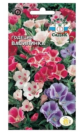 Семена годеции крупноцветковой СеДеК Василинка 015 г