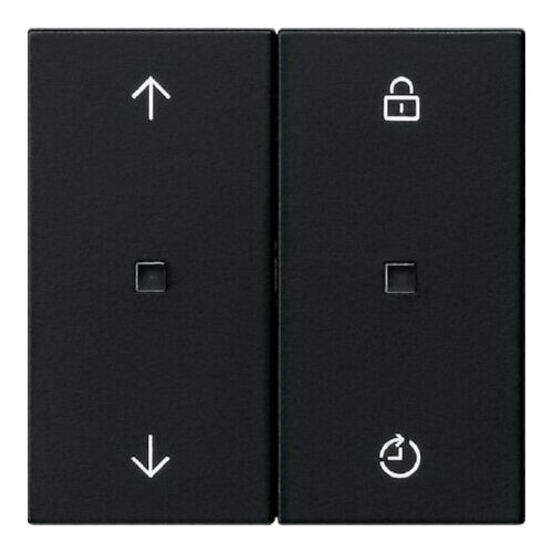 Насадка для радиоуправления MemArrows черная - Интеллектуальный элемент управления черный 5492005 Gira 4010337052234 44980₽