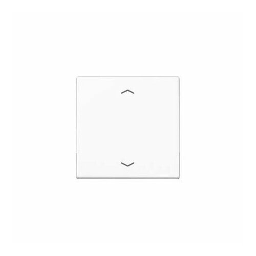 Интеллектуальный элемент управления белый A 1700 BFP WW Jung 4011377151505 11742₽