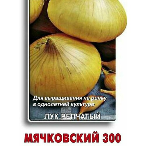 Семена Лук репчатый Мячковский 300