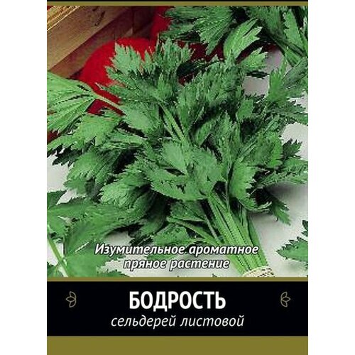 Семена Сельдерей листовой Бодрость