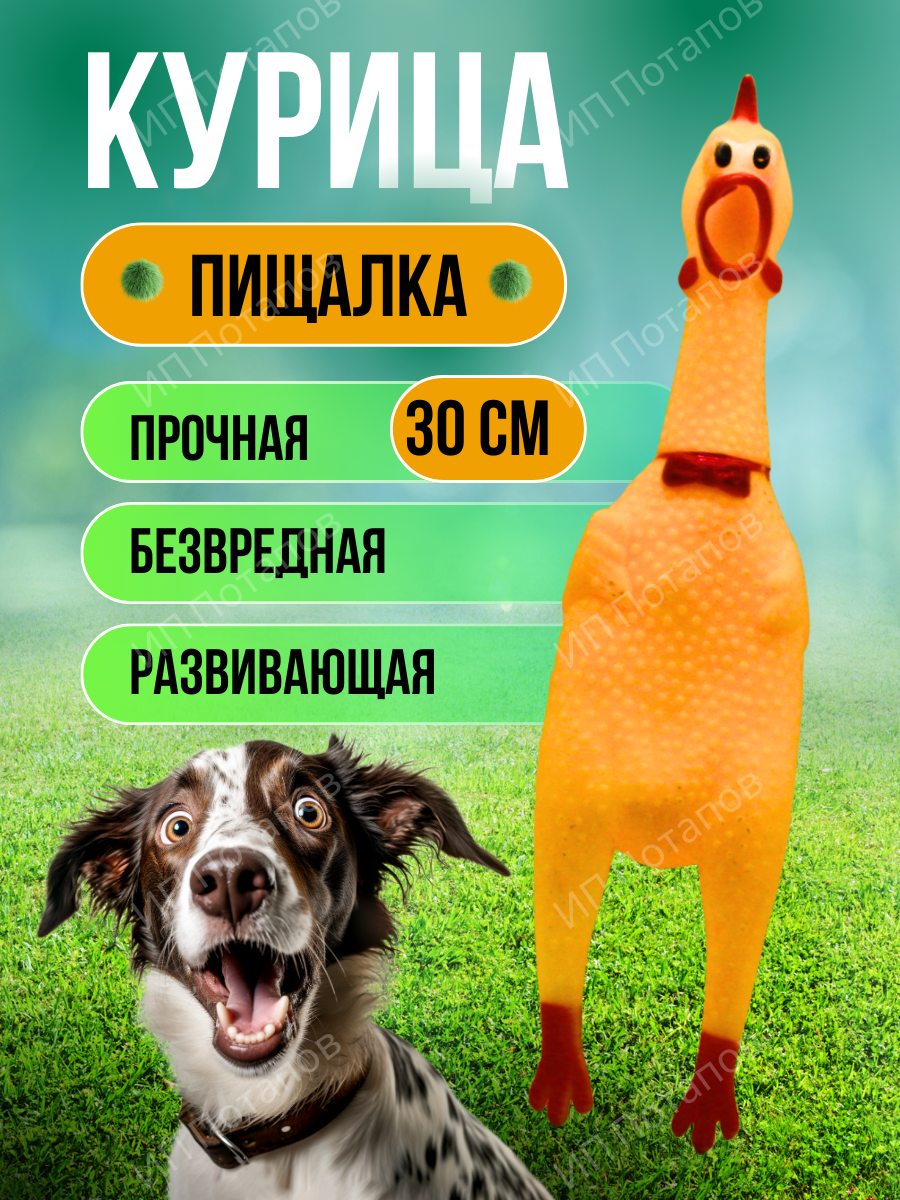 Игрушка для собак и щенков кричащая курица с пищалкой / Развивающая игрушка антистресс для средних пород 30 см