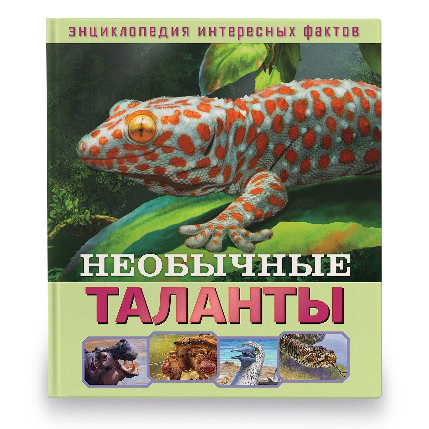 Энциклопедия интересных фактов ND Play Необычные таланты, для детей, с картинками (978-5-0015-8062-1)