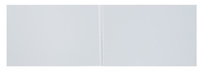 Альбом для рисования А4, 40 листов на гребне Doggie-щенки, обложка мелованный картон, блок 100 г/м2, микс - фотография № 14