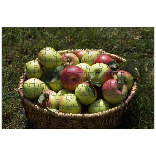 фото Магнитный пазл 27x18см."яблоко, корзина, сад" на холодильник lotsprints