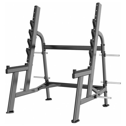 фото E-7050 стойка для приседаний с ограничителями (squat rack), dhz