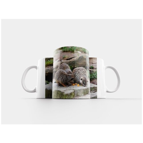 фото Кружка "сурикат, животное, шерсть" 320 мл lotsprints