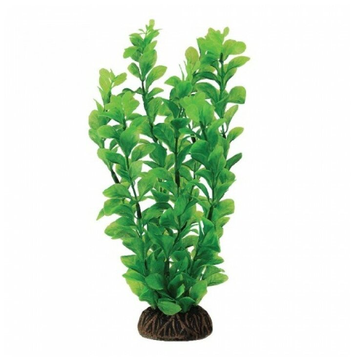 Растение Людвигия зеленая, 200мм