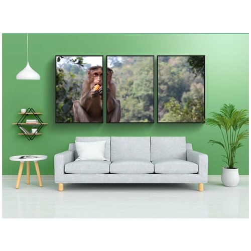 фото Набор модулных постеров для интерьера "обезьяна, makake, африке" 60x90 см. в тубусе, без рамки lotsprints