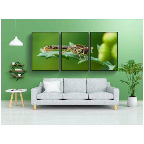 фото Набор модулных постеров для интерьера "насекомое, летать в воздухе, летом" 60x90 см. в тубусе, без рамки lotsprints