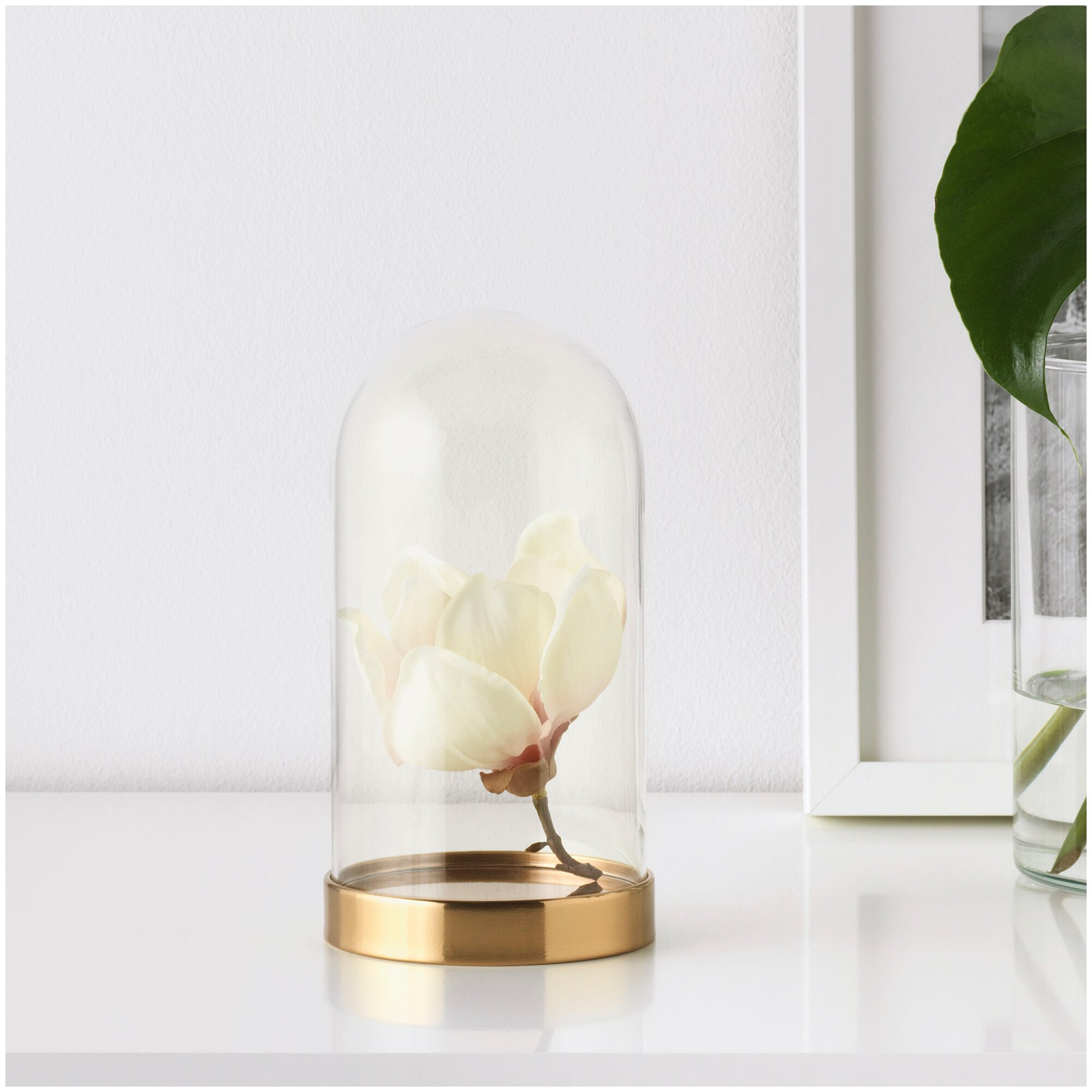 Клош стеклянный в интерьере 86 фото