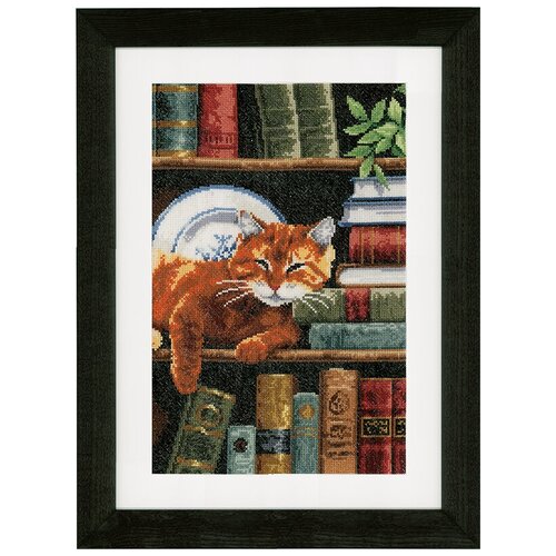 фото Набор для вышивания кот на книжной полке vervaco