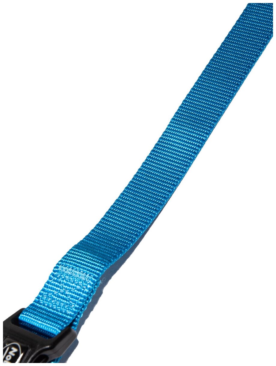 Ошейник для собак CLASSIC 50-65см/25мм нейлон голубой - фотография № 5