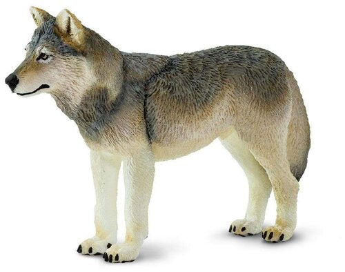 Фигурка Safari Ltd Серый волк 100509, 6.5 см
