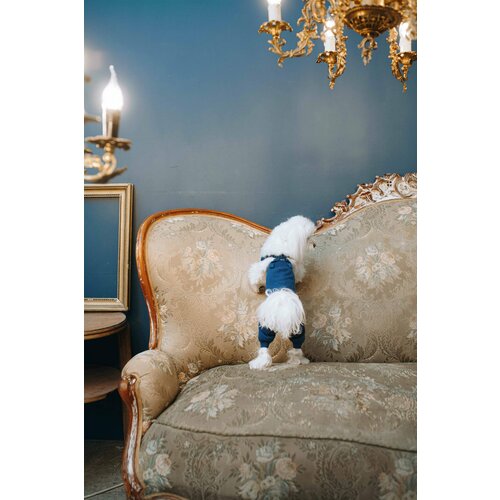 Трикотажные брюки, синий - L