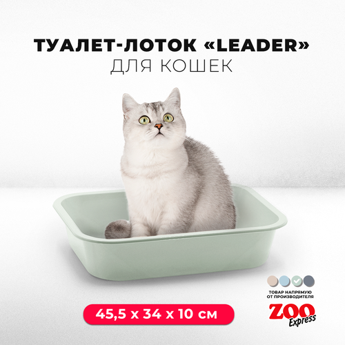 Туалет-лоток для кошек ZOOexpress LEADER, 45,5х34х10 см, светло-зеленый