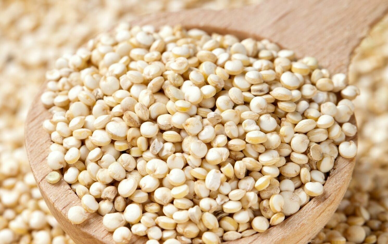 Киноа белая (лат. Chenopodium quinoa) семена 250шт + подарочек