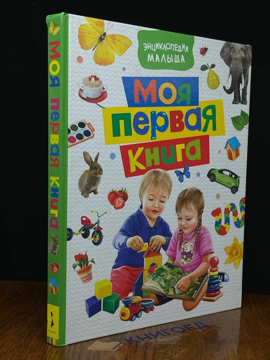 Моя первая книга 2017