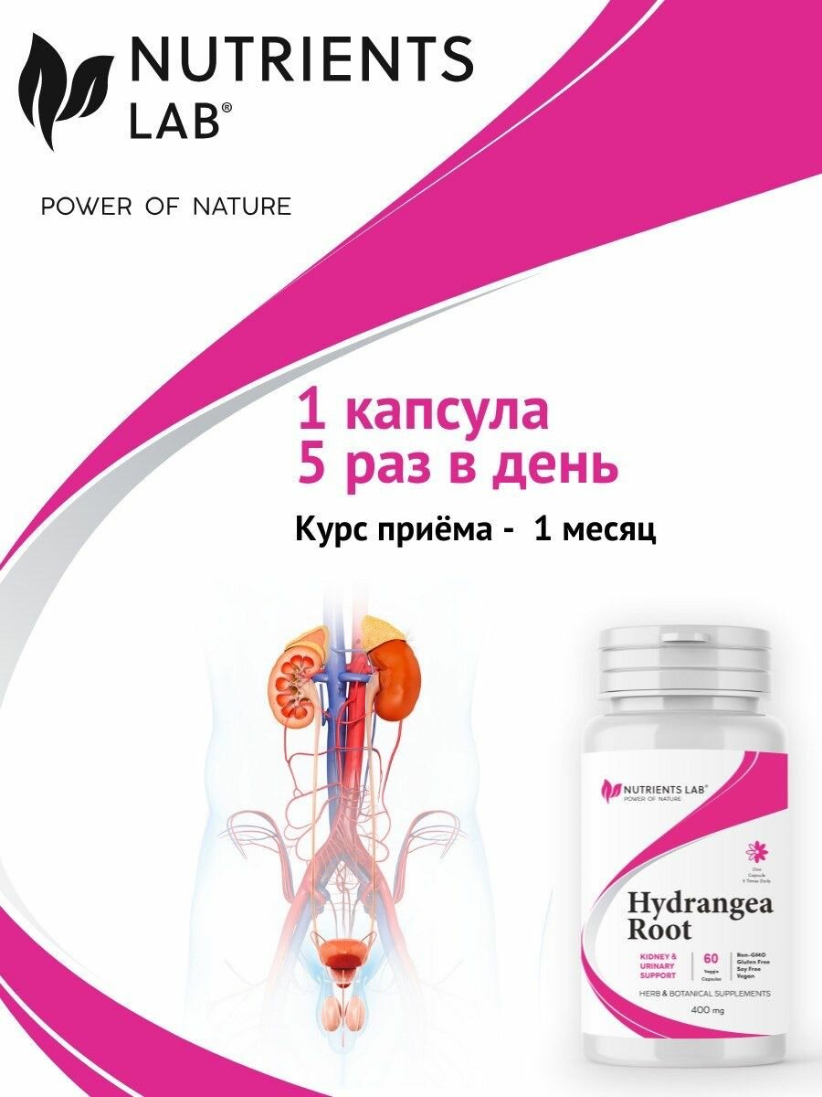Картинки БАД "Гортензия TSN Nutrients Lab", для почек, мочегонное, 60 капсул