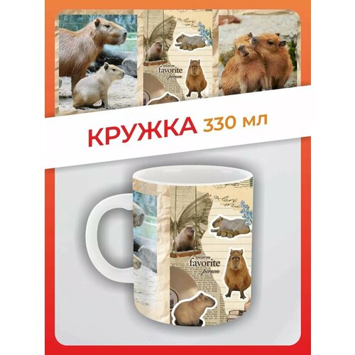 Кружка подарок Милая капибара животные прикол рисунок мемы