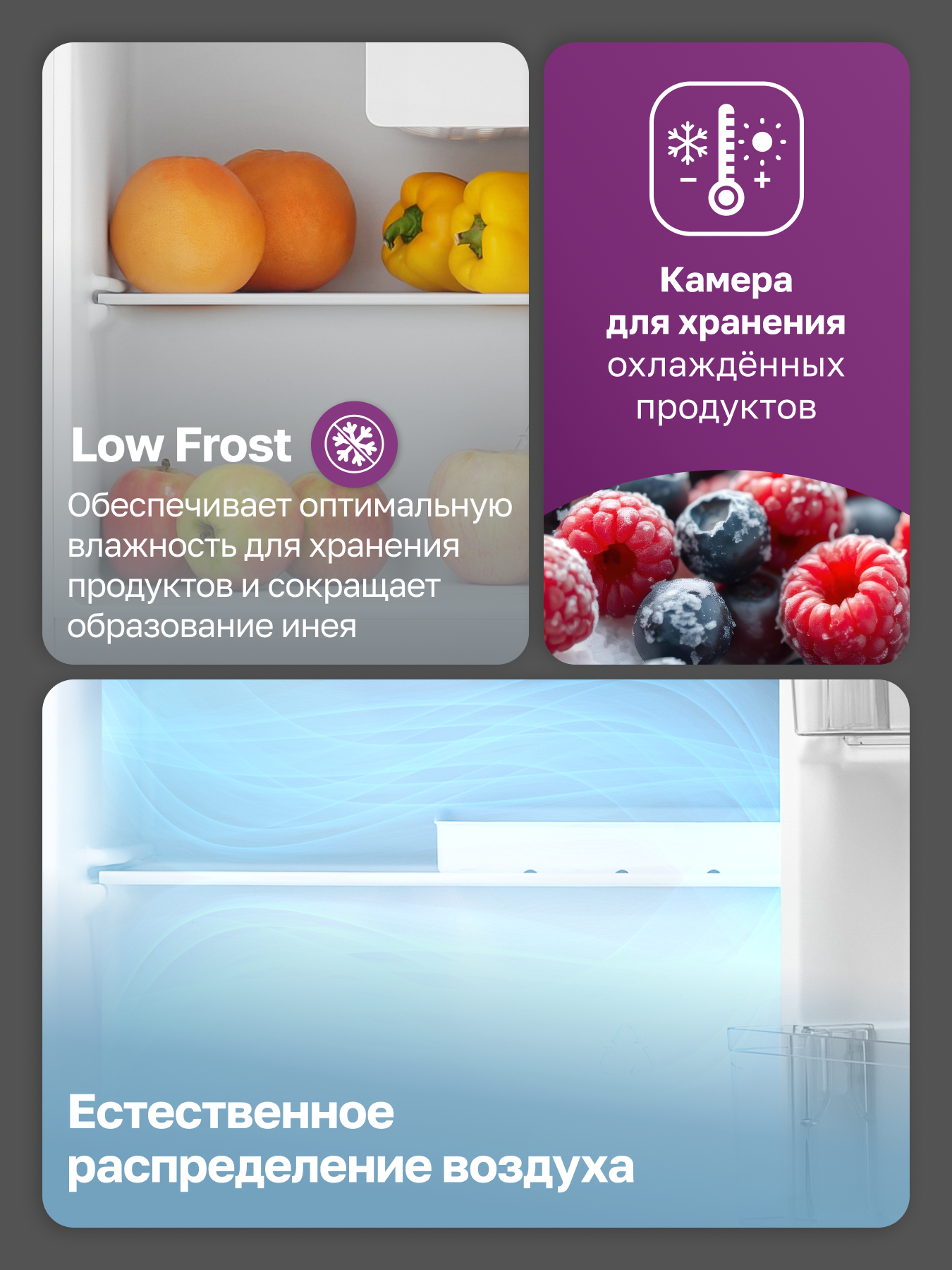 Холодильник отдельностоящий мини GARTZ RSD111W SmartCool для дома, офиса, дачи, высота 50см, объем 45л, LowFrost, белый — фото 1