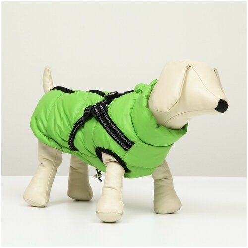 фото Куртка для собак со шлейкой, размер 12 (дс 28 см, ог 38 см, ош 27 см), салатовая сима-ленд