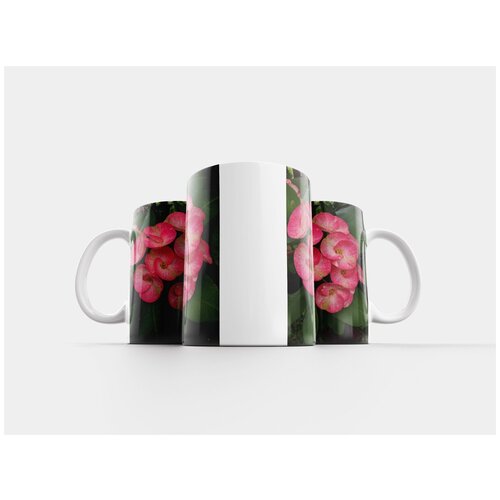 фото Кружка "орхидея, цветок, завод" 320 мл lotsprints