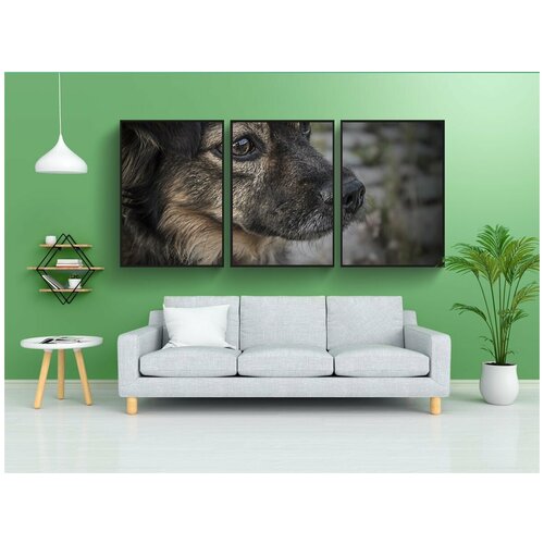 фото Набор модулных постеров для интерьера "собаки, щенки, щенок" 60x90 см. в тубусе, без рамки lotsprints