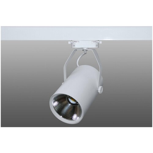 ShopLEDs Трековый светодиодный светильник DT-171 (30W, 6000K, однофазный, белый корпус)