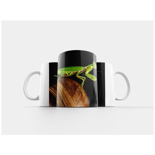 фото Кружка "богомол, ловля насекомых, зеленый" 320 мл lotsprints