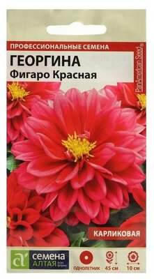 Семена цветов Георгина "Фигаро", красная, махровая, Сем. Алт, ц/п, 5 шт, 3 штуки