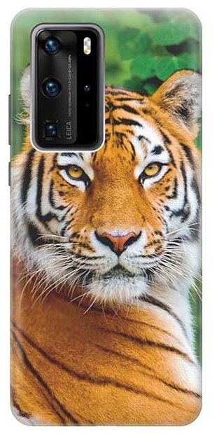 Чехол - накладка ArtColor для Huawei P40 Pro с принтом "Портрет тигра"