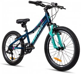 Велосипед ASPECT GALAXY - 20" 2022 (-, Синий, 9980070739028)