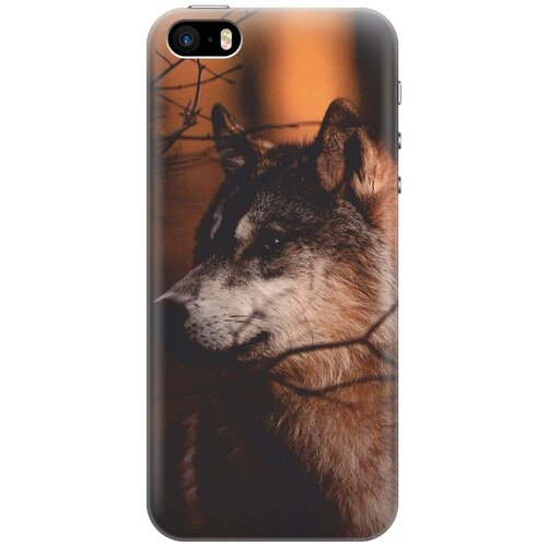 фото Re:paчехол - накладка artcolor для apple iphone se / 5s / 5 с принтом "красивый волк"