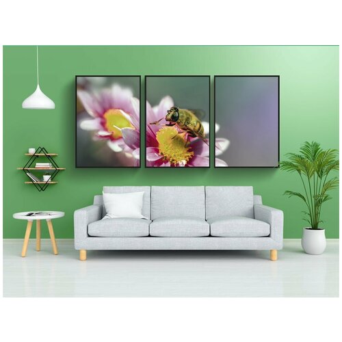 фото Набор модулных постеров для интерьера "пчела, насекомое, цветок" 60x90 см. в тубусе, без рамки lotsprints