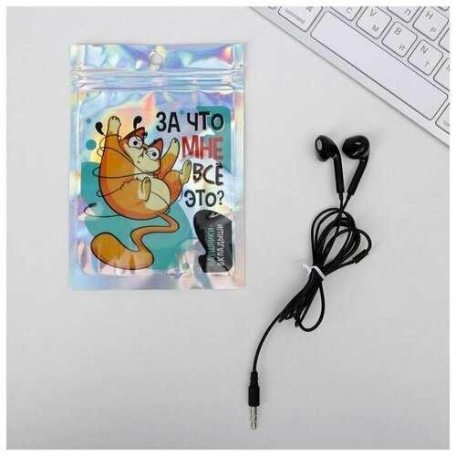 Наушники вкладыши в пакете Кот 10 х 15 см 36500₽