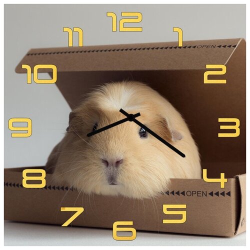 фото Svs настенные часы svs 3002073 хомяк