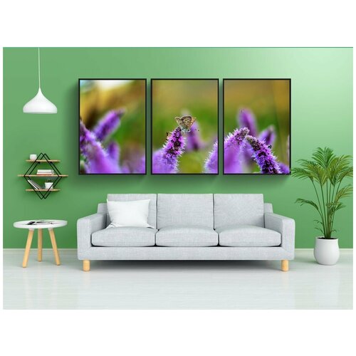 фото Набор модулных постеров для интерьера "цветок, природа, площадь" 60x90 см. в тубусе, без рамки lotsprints