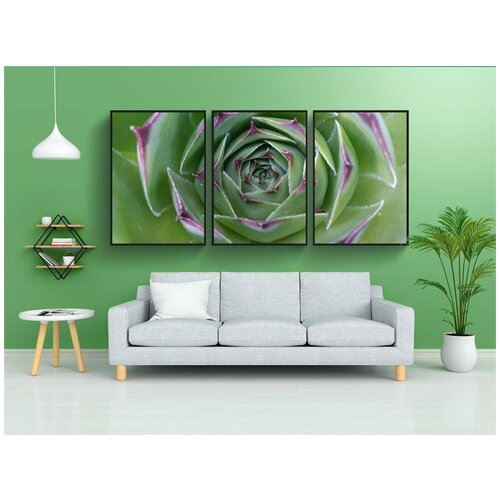 фото Набор модулных постеров для интерьера "кактус, сочный, флора" 60x90 см. в тубусе, без рамки lotsprints