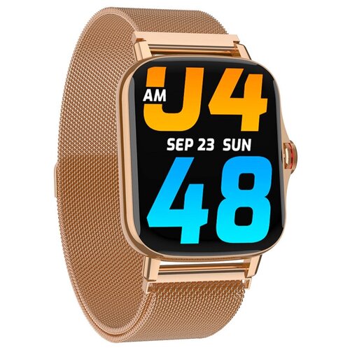 BandRate Smart BRSFM0808GGWB 756500₽