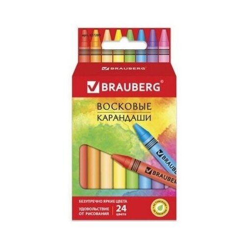 Восковые карандаши BRAUBERG академия , набор 24 цвета, 227285  - купить со скидкой