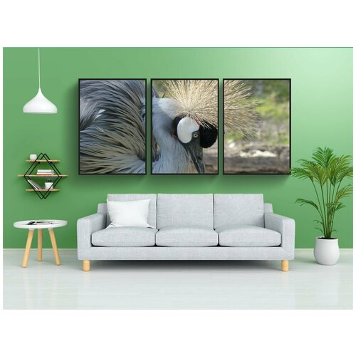 фото Набор модулных постеров для интерьера "венценосный журавль, кран, птица" 60x90 см. в тубусе, без рамки lotsprints